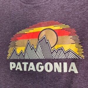 Patagonia Men's Purple Graphic T-Shirt
